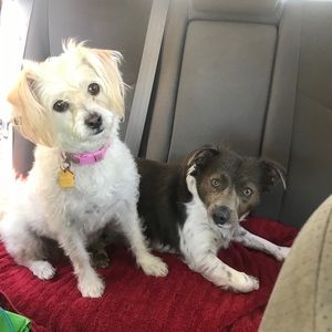 Meet your Posher, Diane